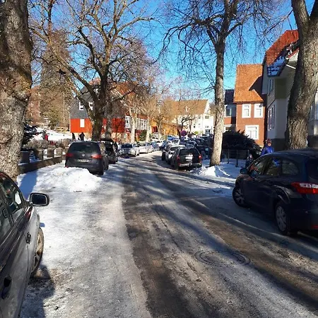 Am Skilift Braunlage