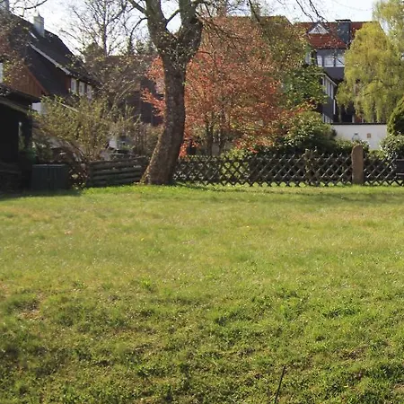 Am Skilift Braunlage